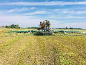 53043072_326538434644110_8924977981374332928_n